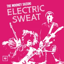 Electrocuted Blues (Album Version)