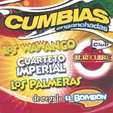 Cumbias Enganchadas 1