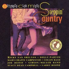 Honky Tonk Attitude (Album Version)