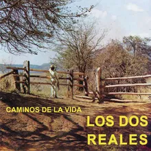 Caminos de la Vida