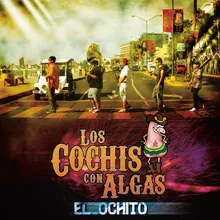 El Gallito Album Version