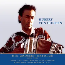 Goisern Live