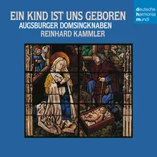 Nun komm der Heiden Heiland