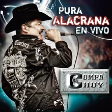 Al Nuevo Altata (Live Version)