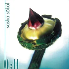 Las Voces Del Agua Album Version