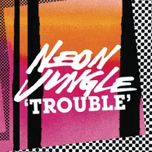 Trouble (Monsieur Adi Remix)