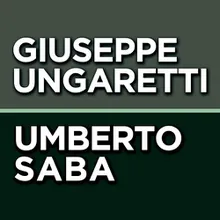 Palla soledades il falcone l'alga ed il