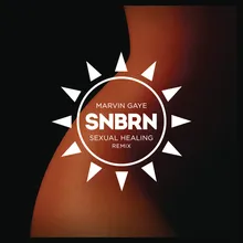 Sexual Healing SNBRN Radio Remix