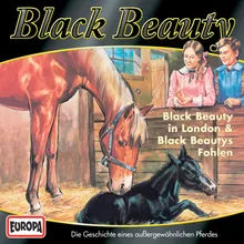 03 - Black Beauty in London/Black Beautys Fohlen (Teil 12)