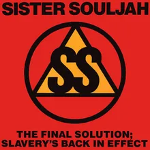 The Final Solution: Slavery's Back In Effect-Radio Edit