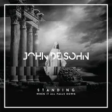 Standing When It All Falls Down-Official NiP Team Song