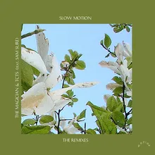 Slow Motion-Boston Bun Remix
