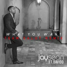 What You Want-Team Salut Remix