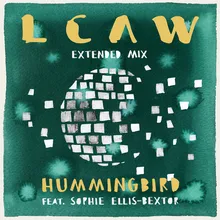 Hummingbird-Extended Mix