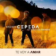 Te Voy a Amar