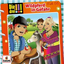 055 - Wildpferd in Gefahr Teil 38