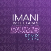 Dumb (DJ Zinc Remix)