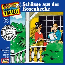 053 - Schüsse aus der Rosenhecke Teil 11