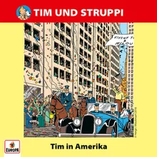 018 - Tim in Amerika Teil 31