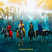 Playa Grande (Sinego Remix)