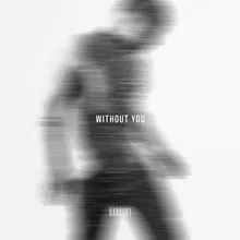 Without You-Acoustic Version