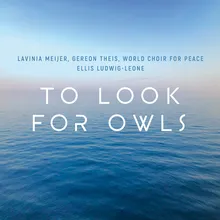 To Look for Owls