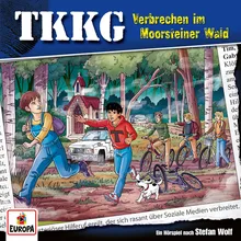 215 - Verbrechen im Moorsteiner Wald Titelsong