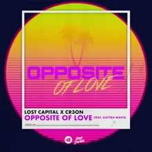 Opposite Of Love