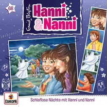 068 - Schlaflose Nächte mit Hanni und Nanni-Titelsong kurz