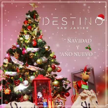 Navidad y Año Nuevo