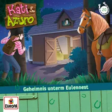 020 - Geheimnis unterm Eulennest-Teil 05