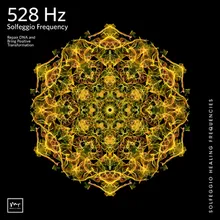 528 Hz Release Inner Conflict & Struggle