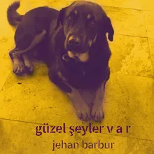 Güzel Şeyler Var