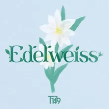 EDELWEISS (Instrumental)