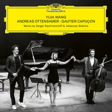 Brahms: Clarinet Trio in A Minor, Op. 114 - I. Allegro