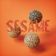 SESAME Instrumental