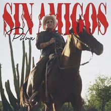 Sin Amigos