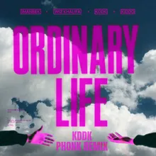 Ordinary LifeKDDK Phonk Remix