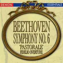 Symphony No. 6 in F Major, Op. 68 'Pastorale': I. Allegro ma non troppo