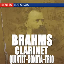Quintet for Clarinet and String Quartet in B Minor, Op. 115: II. Adagio