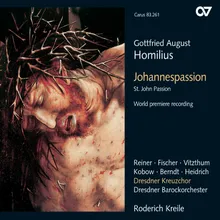 Homilius: Johannespassion / Pt. 1 - No. 9, Aria: Wer kann den Rat der Liebe fassen?