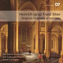 Biber: Mystery Sonatas - No. 1, Sonata in D Minor "The Annunciation"