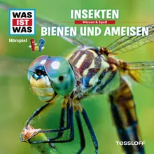 Bienen und Ameisen - Teil 06