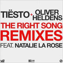 The Right Song Mike Williams Remix