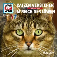 Im Reich der Löwen - Teil 05