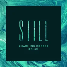 Still Charming Horses Remix