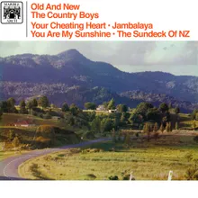 The Sun Deck Of New Zealand