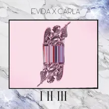 1,2,3 (Evida x Carla)