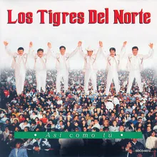 El Hijo De Tijuana-Album Version