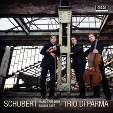 Schubert: Piano Trio No. 1 in B Flat, Op. 99 D.898 - 1. Allegro moderato